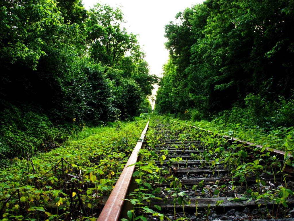 Заброшенный железнодорожный путь