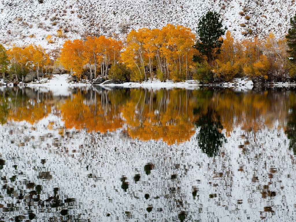 Осенние деревья на фоне первого снега отражаются в воде