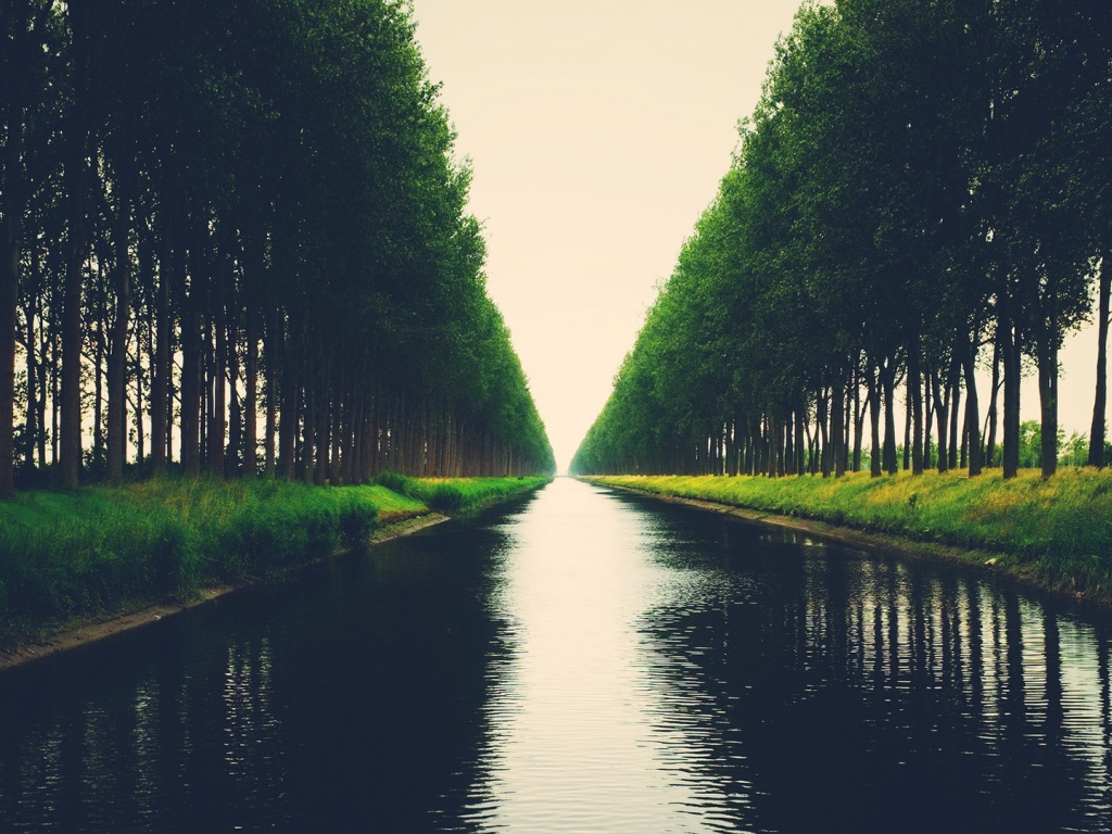 Аллея деревьев на берегу канала