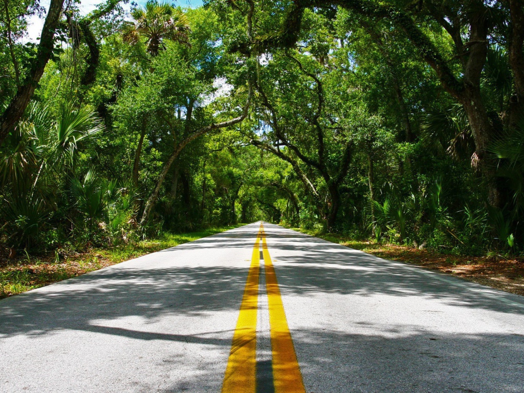 Красивая дорога в тропиках