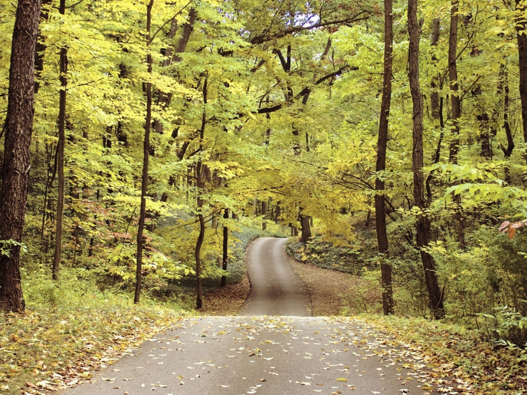 Велосипедная дорожка в осеннем парке