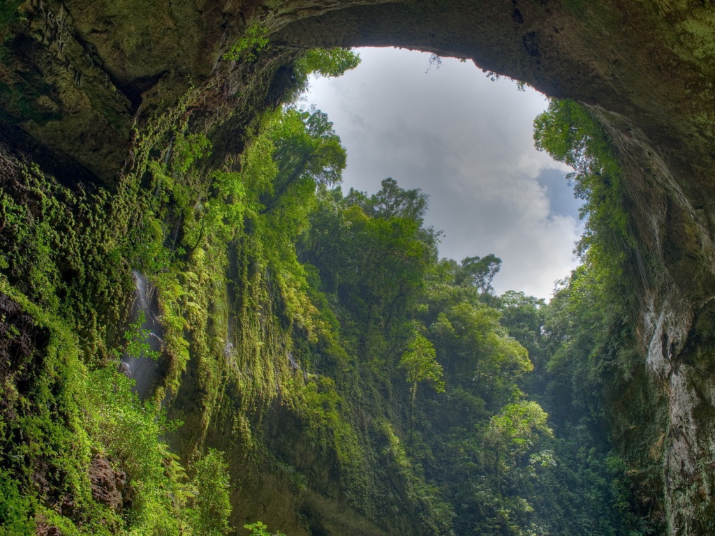 Пещера заросла зеленью изнутри