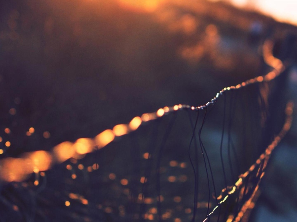 Капли росы на сетчатом заборе