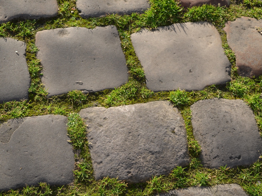 Зеленая трава между блоков брусчатки