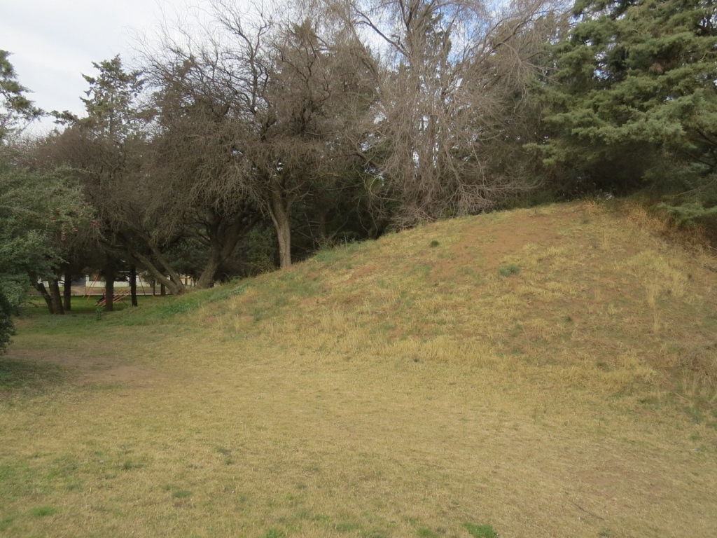 Холм с деревьями в парке