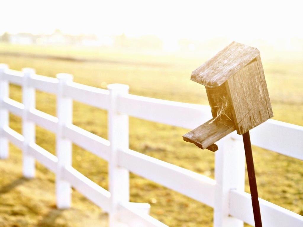 Домик для птиц у фермерского забора