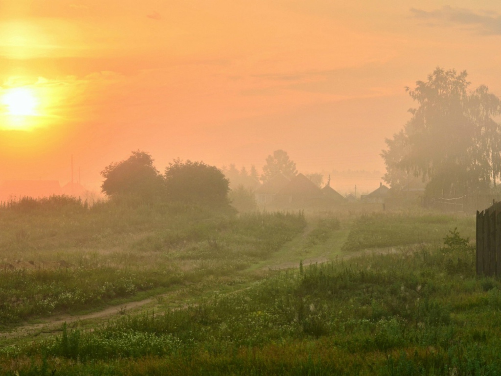 Туманный рассвет в деревне