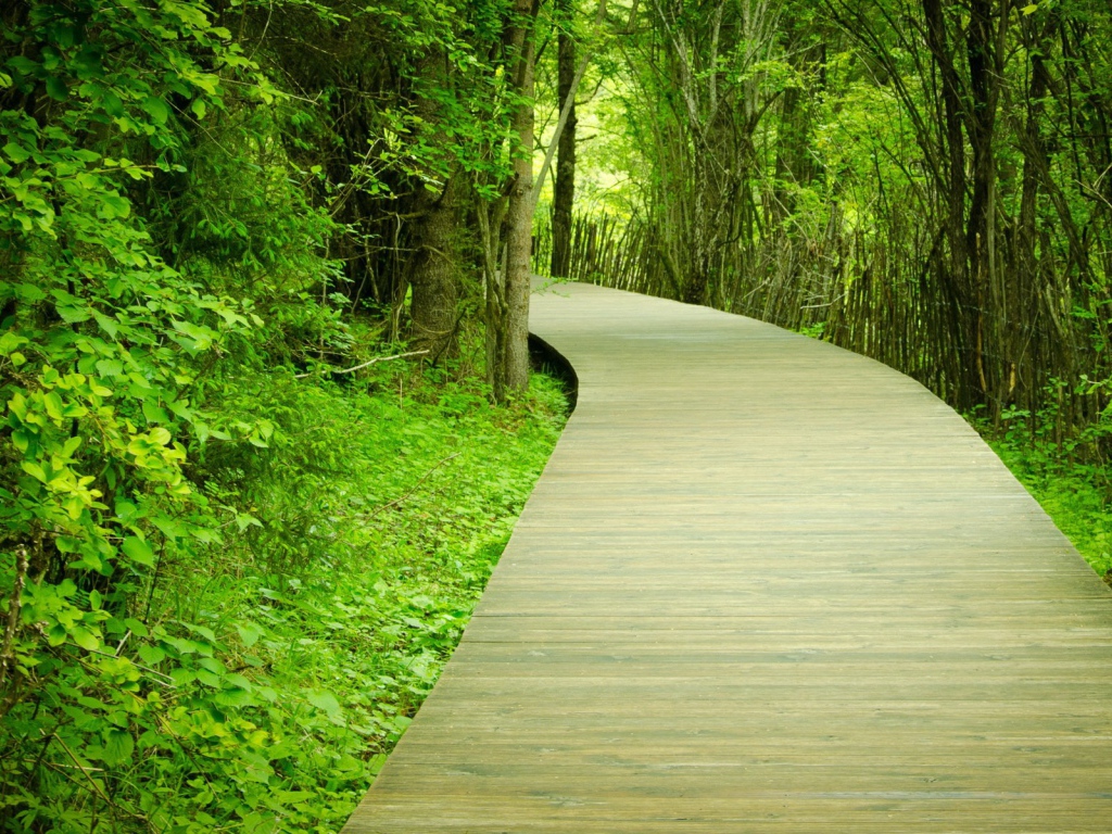 Паркетная тропинка в саду