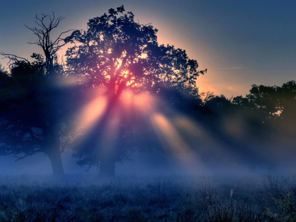 Красные лучи солнца в тумане