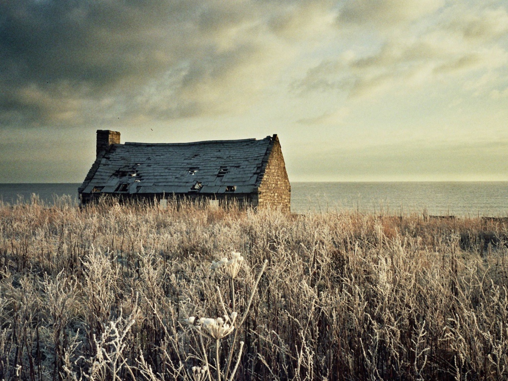 Разрушенный дом на засохшем поле