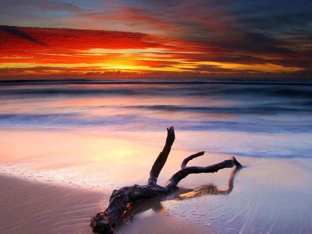 Коряга на белом песке пляжа на закате
