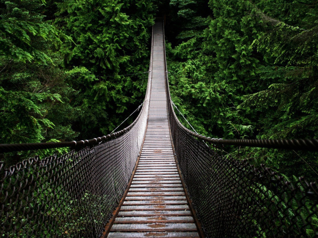Подвесной мост на канатах