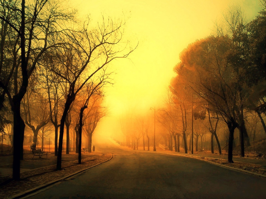 Дорога уходит в оранжевую дымку