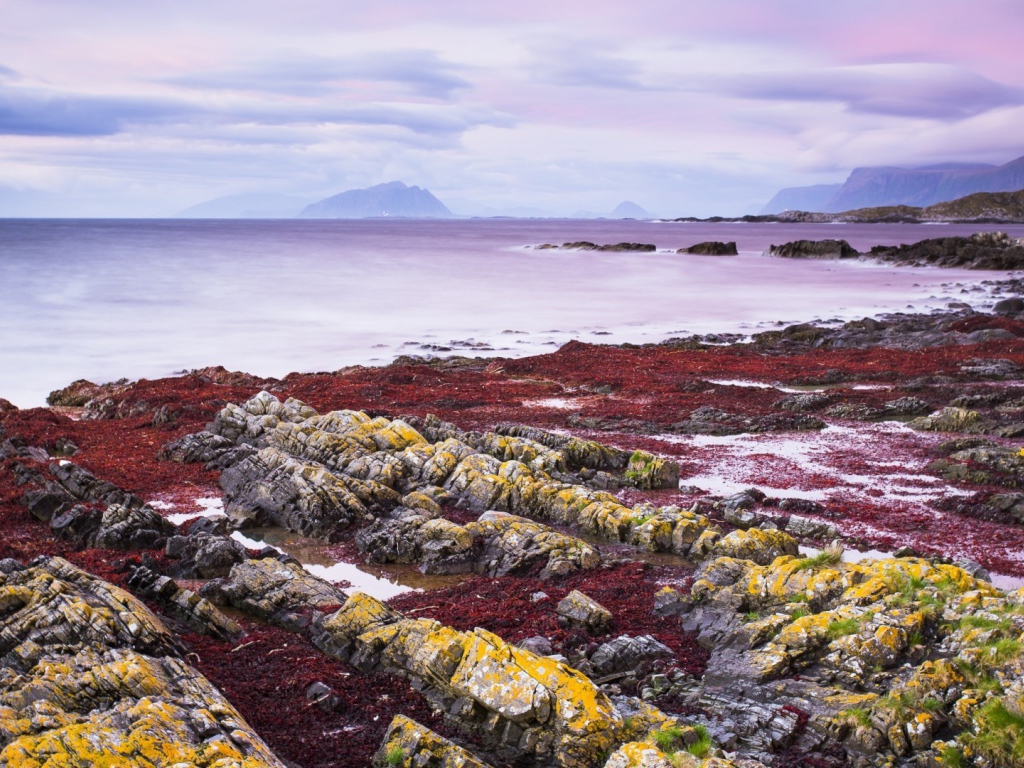 Желтые камни на берегу моря