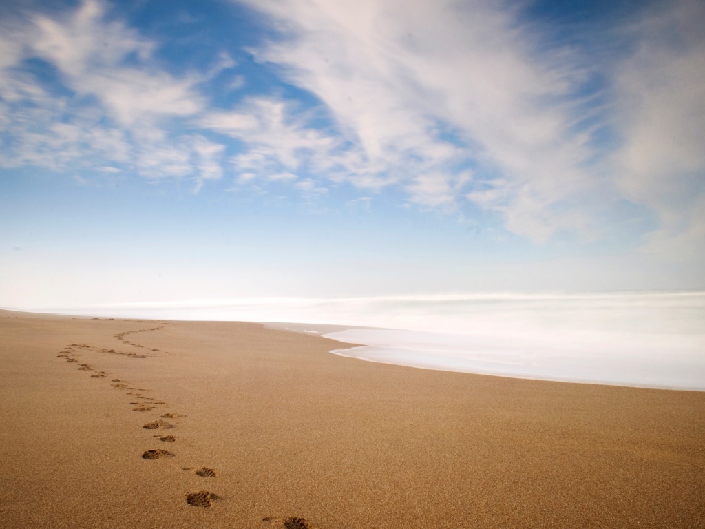 Ряд следов петляет по песку пляжа