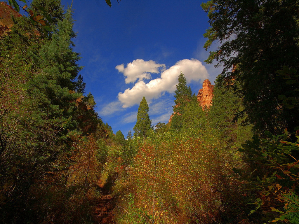Кусок синего неба