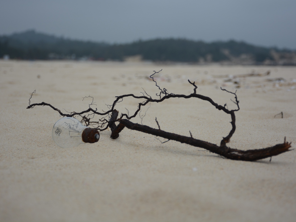 Черная ветка на белом песке