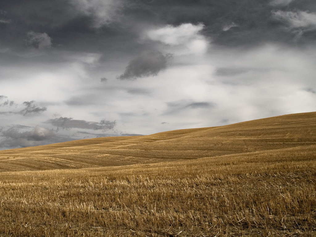 Темное небо над скошенным полем