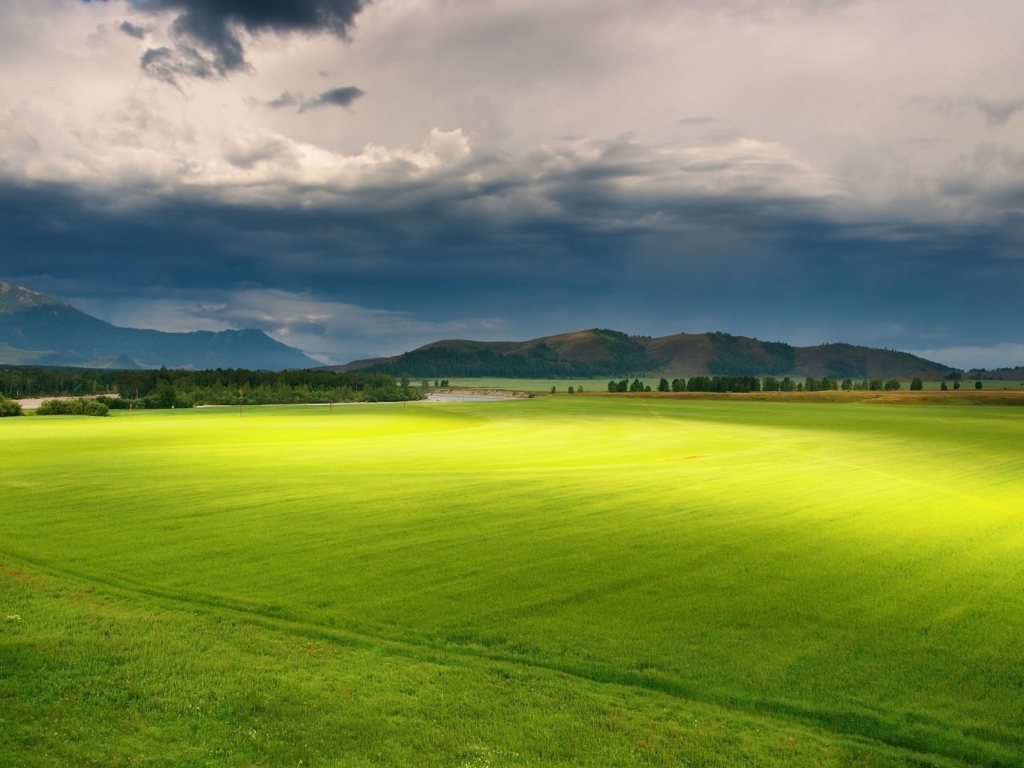 Полет над зеленой равниной