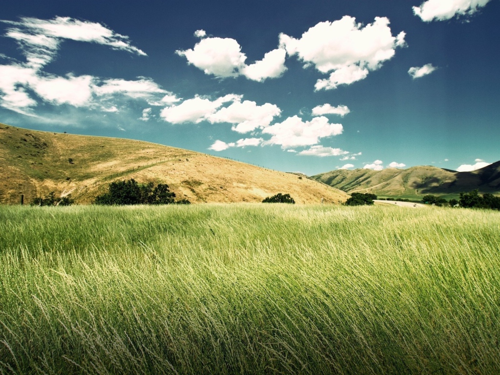 Зеленое поле между холмов