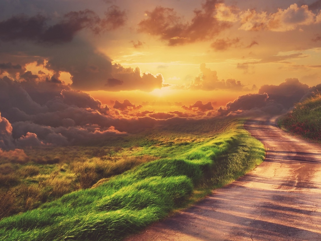 Зеленая трава у обочины дороги на закате