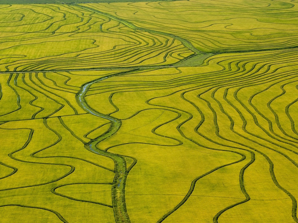 Оросительные каналы на поле необычной формы