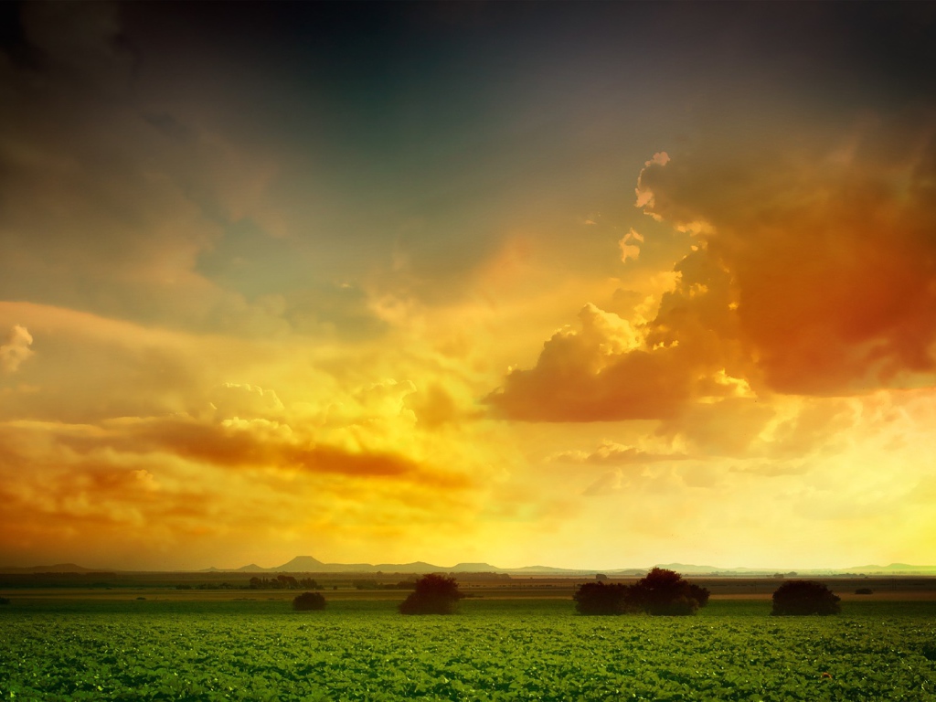 Оранжевое небо над зеленым полем