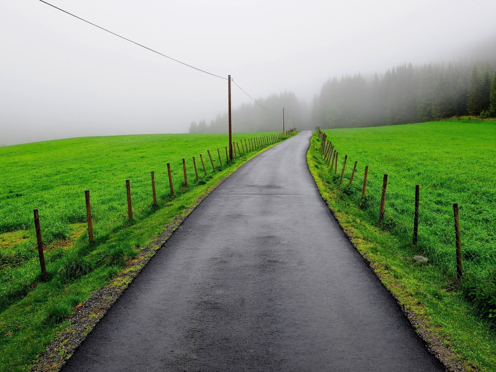 Мокрая дорога между зеленых полей