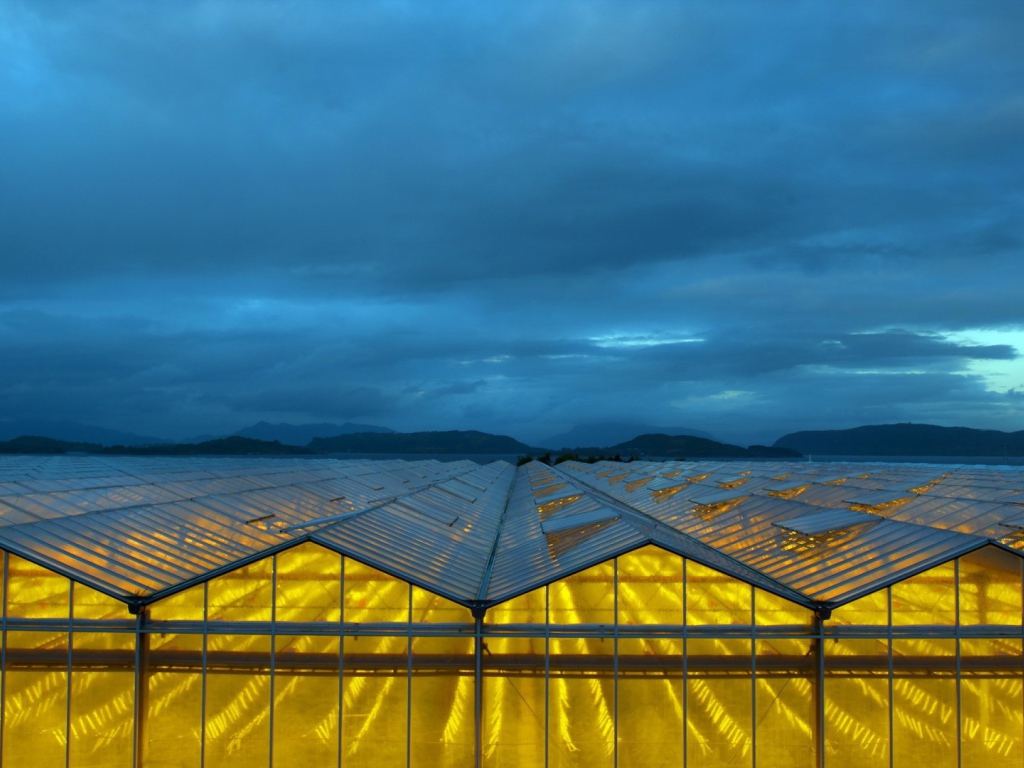 Желтый свет в стеклянных теплицах