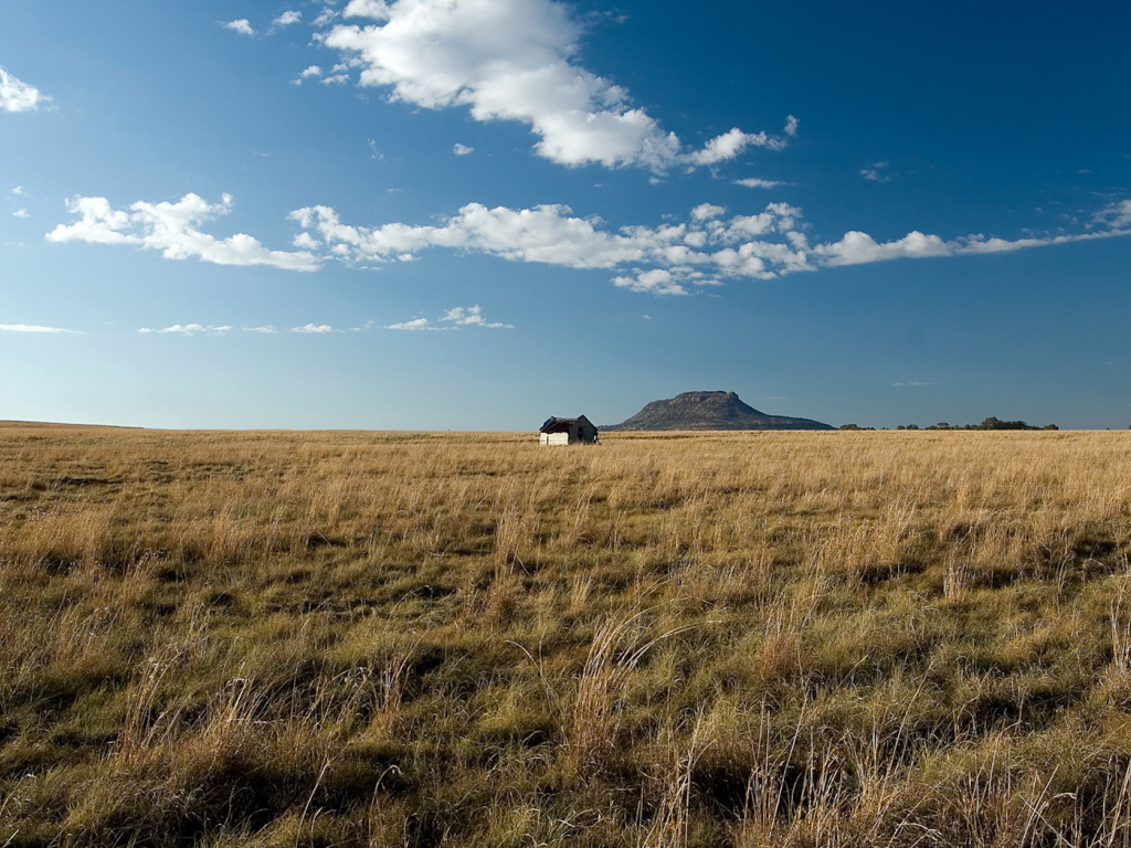 Одинокий дом посередине поля