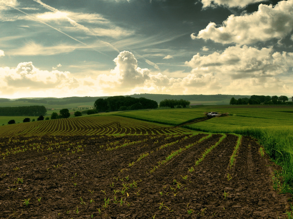 Перепаханное поле