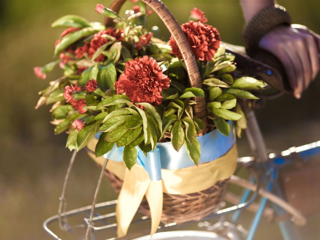 Корзина цветов на багажнике велосипеда