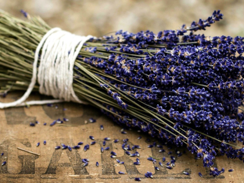 Букет цветов лаванды