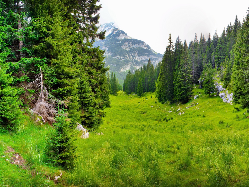 Сказочная природа предгорья