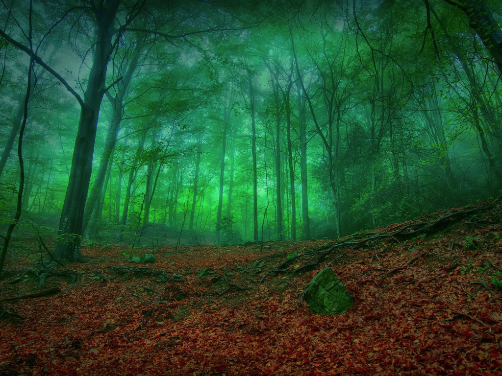 Мистический зеленый лес