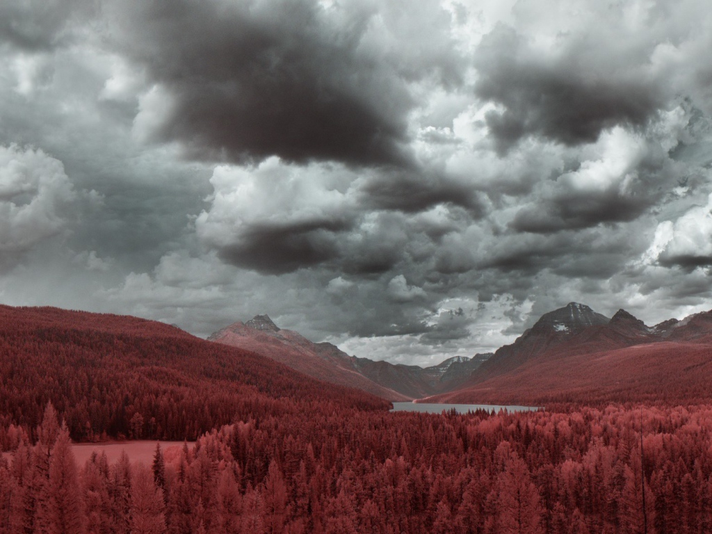 Рыжий лес в предгорье