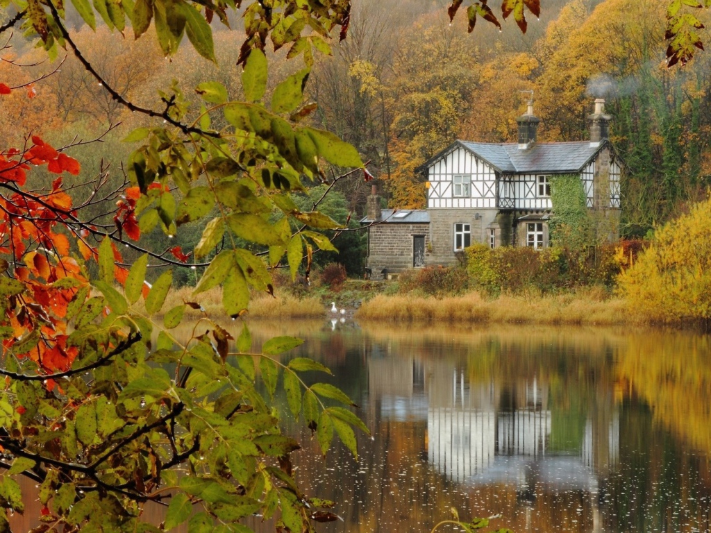 Каменный жилой дом среди леса