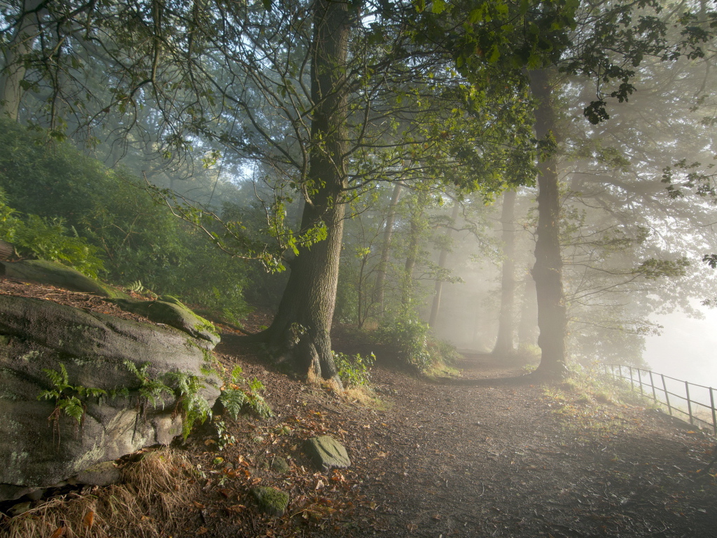 Дорога в горном парке