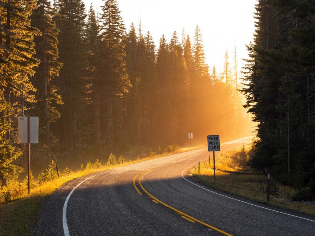 Поворот на лесной дороге