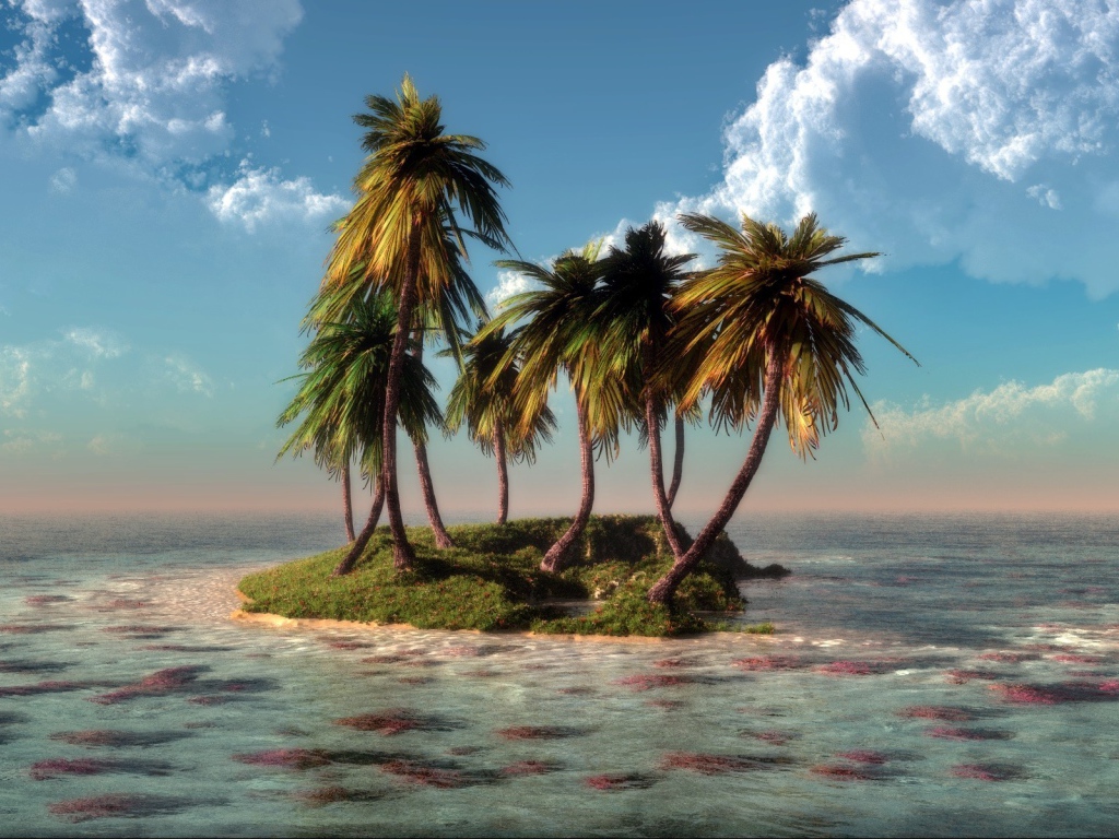 Немного зелени на затерянном островке