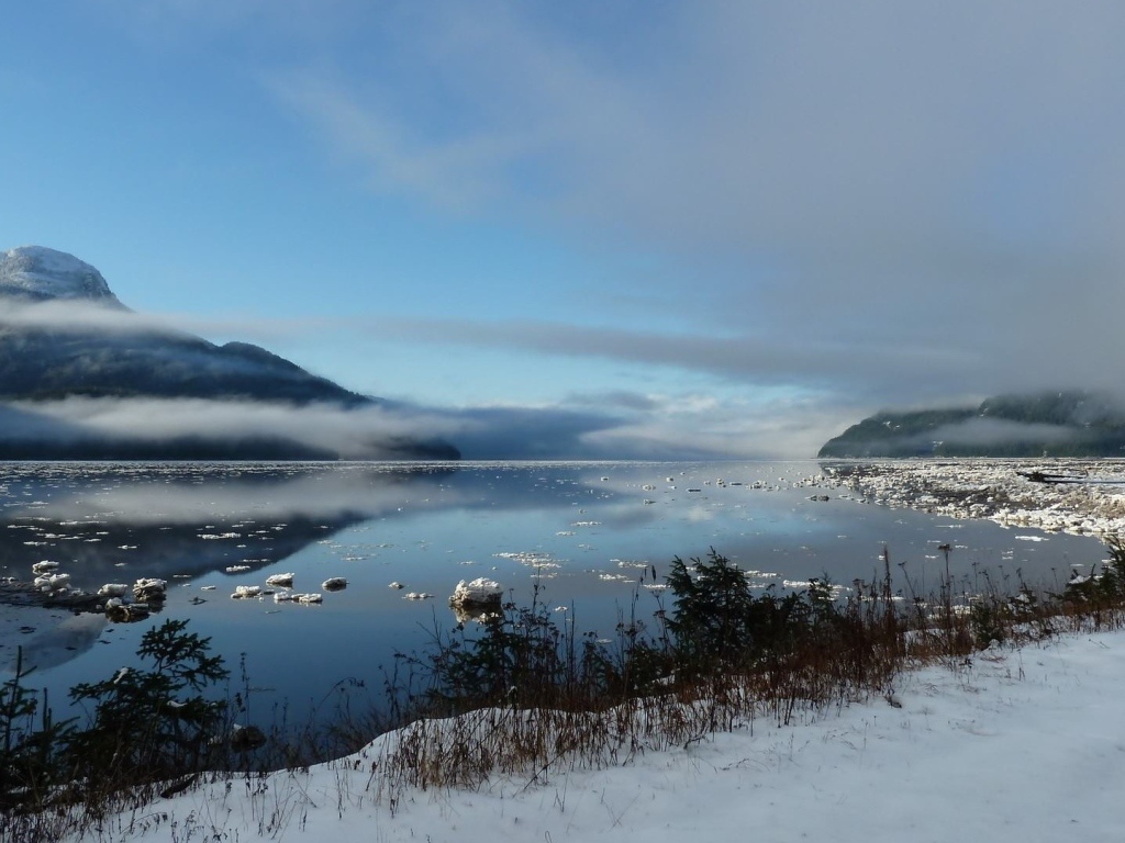 Туманное зимнее озеро в горах