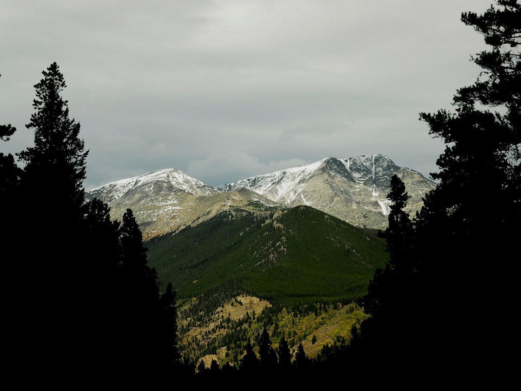 Фото гор среди деревьев