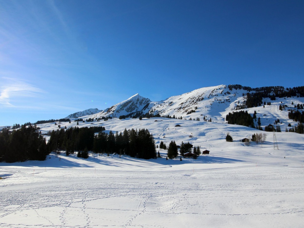 Лыжная трасса в горах