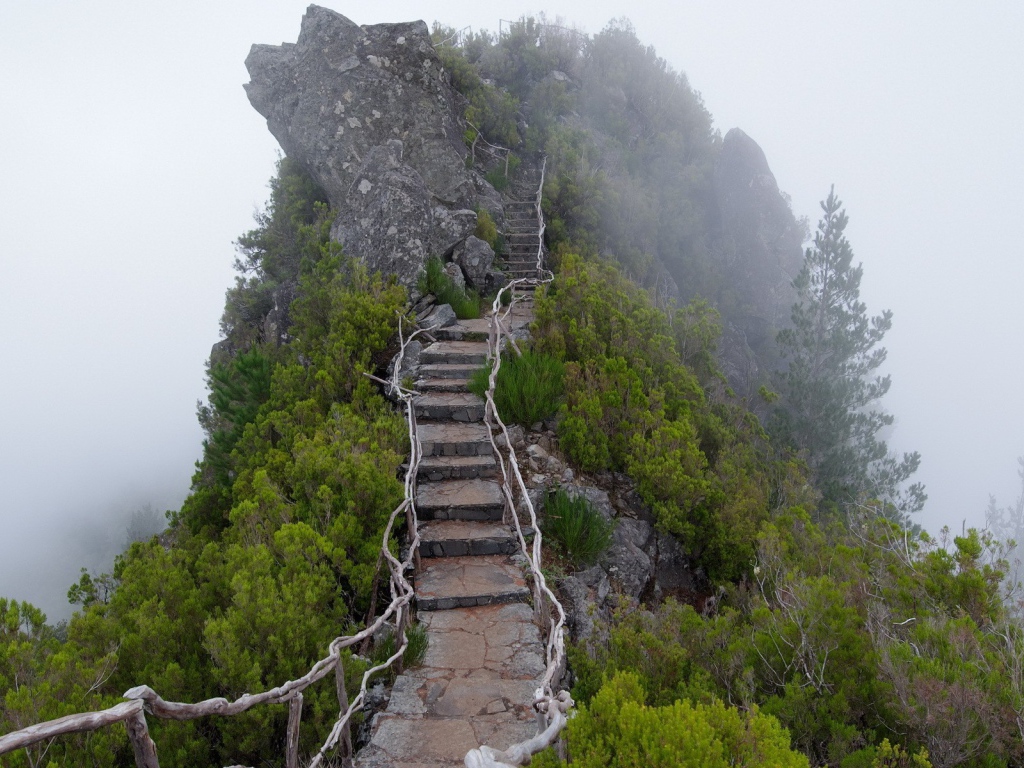 Каменные ступени на вершину скалы