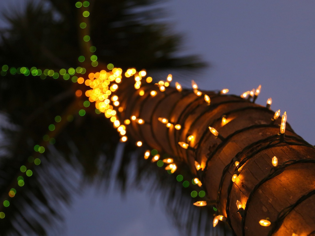 Гирлянды на стволе пальмы