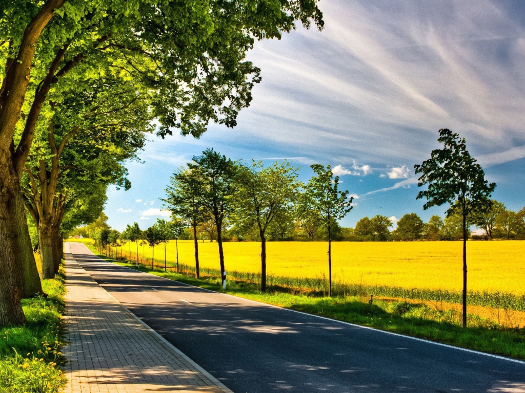 Аккуратная дорога по краю желтого поля