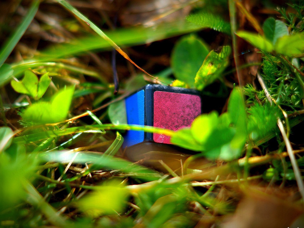 Элемент кубика Рубика лежит в траве