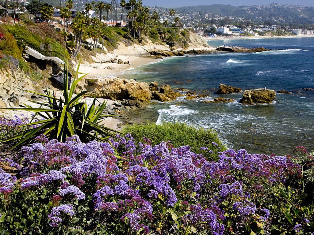 Экзотические растения на берегу моря