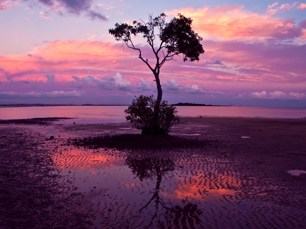 Одинокое дерево на фоне фиолетовых сумерек