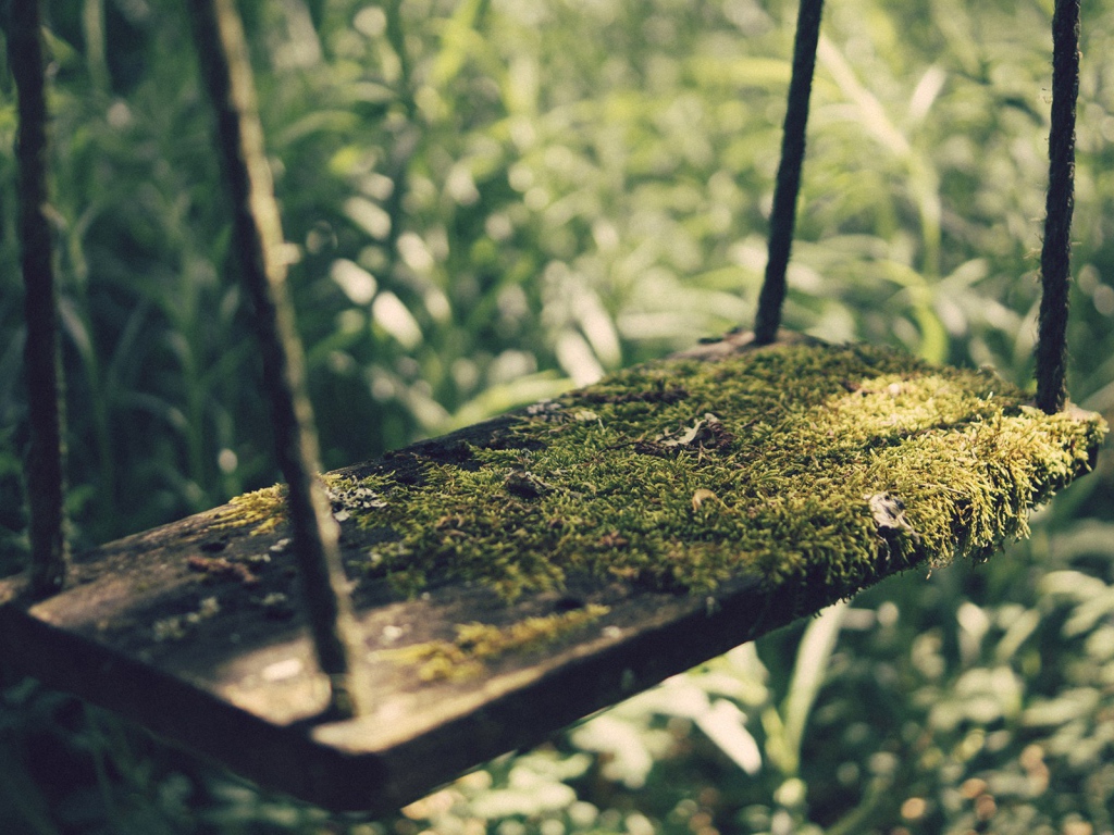 Мох на детских качелях